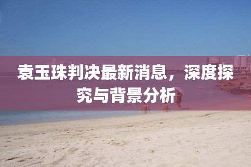 袁玉珠判決最新消息，深度探究與背景分析