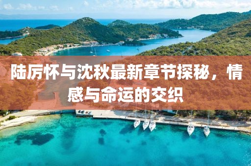 陸厲懷與沈秋最新章節(jié)探秘，情感與命運(yùn)的交織