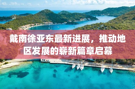 戴南徐亞東最新進展，推動地區(qū)發(fā)展的嶄新篇章啟幕