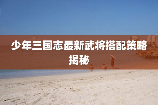 少年三國志最新武將搭配策略揭秘