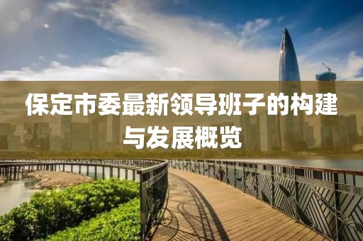 保定市委最新領導班子的構建與發(fā)展概覽