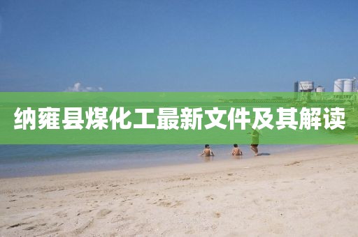 納雍縣煤化工最新文件及其解讀