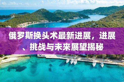 俄羅斯換頭術(shù)最新進(jìn)展，進(jìn)展、挑戰(zhàn)與未來展望揭秘