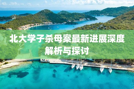 北大學(xué)子殺母案最新進(jìn)展深度解析與探討