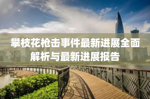 攀枝花槍擊事件最新進展全面解析與最新進展報告