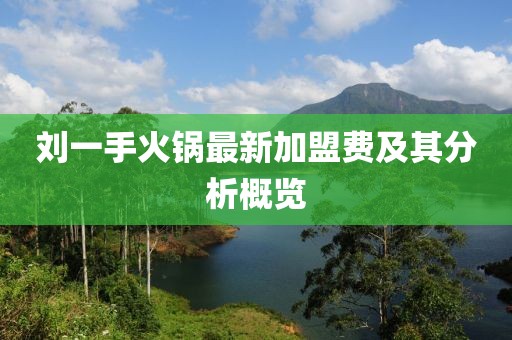 劉一手火鍋?zhàn)钚录用速M(fèi)及其分析概覽