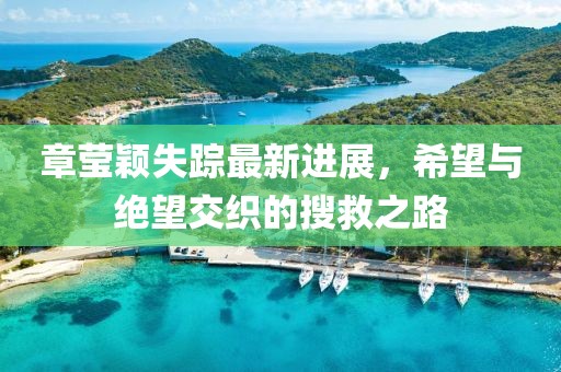章瑩穎失蹤最新進(jìn)展，希望與絕望交織的搜救之路