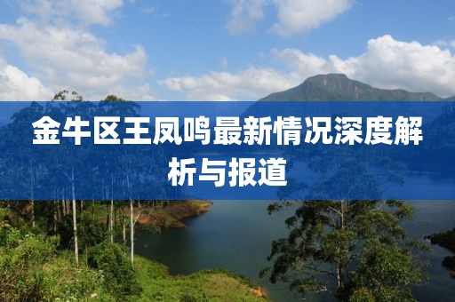 金牛區(qū)王鳳鳴最新情況深度解析與報(bào)道