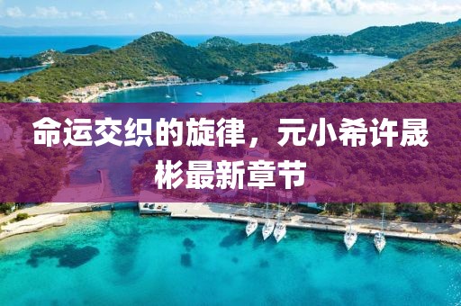 命運交織的旋律，元小希許晟彬最新章節(jié)