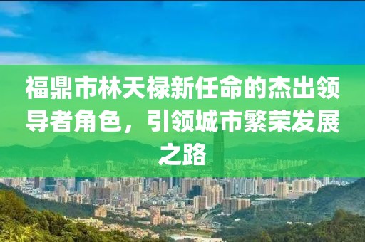 福鼎市林天祿新任命的杰出領(lǐng)導(dǎo)者角色，引領(lǐng)城市繁榮發(fā)展之路
