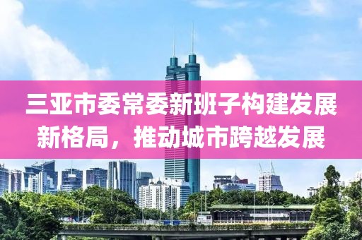 三亞市委常委新班子構(gòu)建發(fā)展新格局，推動城市跨越發(fā)展