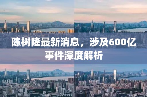 陳樹(shù)隆最新消息，涉及600億事件深度解析
