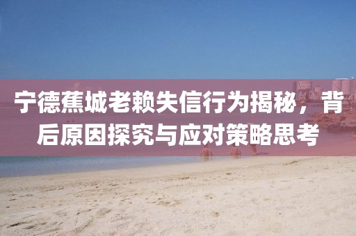 寧德蕉城老賴失信行為揭秘，背后原因探究與應(yīng)對策略思考