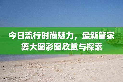 今日流行時(shí)尚魅力，最新管家婆大圖彩圖欣賞與探索