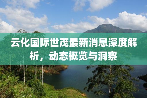 云化國(guó)際世茂最新消息深度解析，動(dòng)態(tài)概覽與洞察
