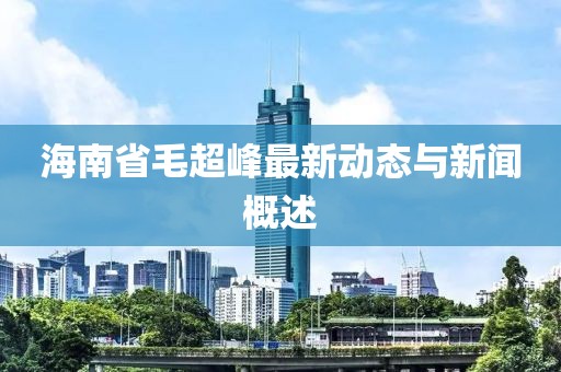 海南省毛超峰最新動(dòng)態(tài)與新聞概述