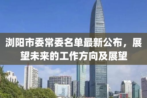 瀏陽市委常委名單最新公布，展望未來的工作方向及展望