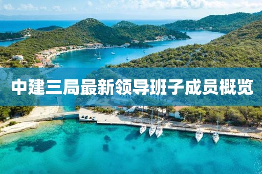 中建三局最新領(lǐng)導(dǎo)班子成員概覽