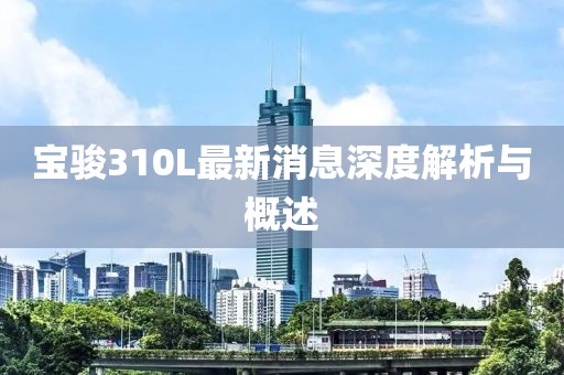 寶駿310L最新消息深度解析與概述