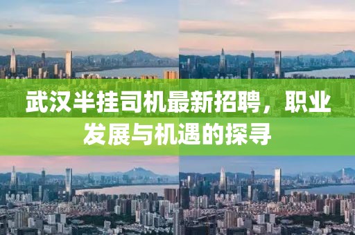 武漢半掛司機(jī)最新招聘，職業(yè)發(fā)展與機(jī)遇的探尋