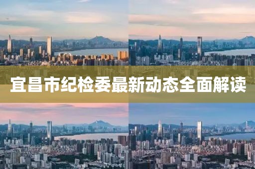 宜昌市紀(jì)檢委最新動態(tài)全面解讀