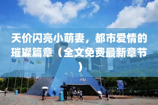 天價(jià)閃亮小萌妻，都市愛(ài)情的璀璨篇章（全文免費(fèi)最新章節(jié)）