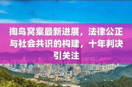 掏鳥窩案最新進展，法律公正與社會共識的構(gòu)建，十年判決引關(guān)注