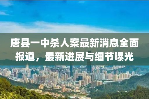唐縣一中殺人案最新消息全面報道，最新進展與細(xì)節(jié)曝光