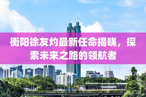 衡陽(yáng)徐友灼最新任命揭曉，探索未來(lái)之路的領(lǐng)航者