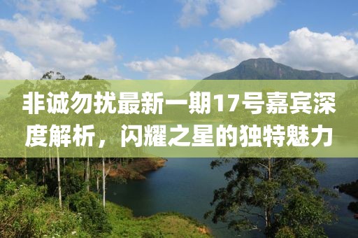 非誠勿擾最新一期17號嘉賓深度解析，閃耀之星的獨特魅力