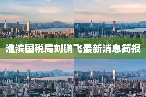 淮濱國稅局劉鵬飛最新消息簡報