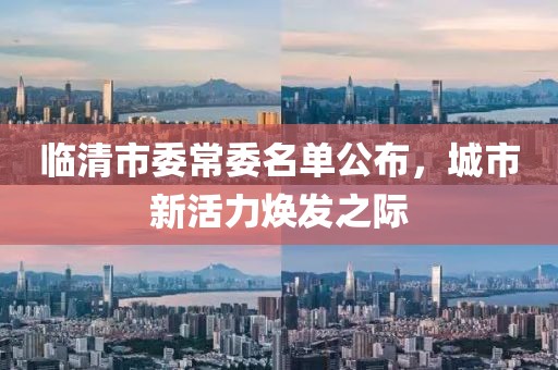 臨清市委常委名單公布，城市新活力煥發(fā)之際
