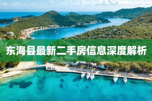 東?？h最新二手房信息深度解析