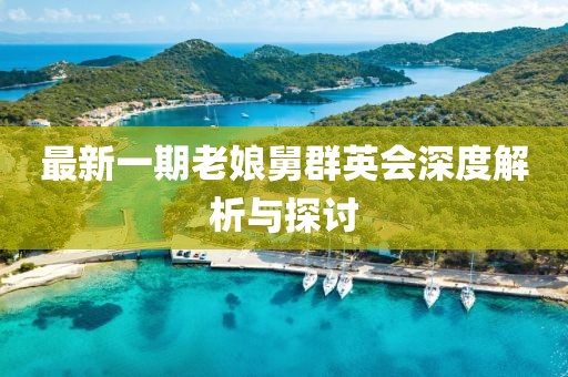 最新一期老娘舅群英會(huì)深度解析與探討