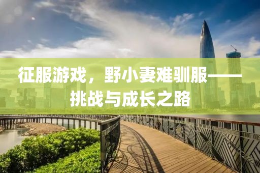 征服游戲，野小妻難馴服——挑戰(zhàn)與成長之路
