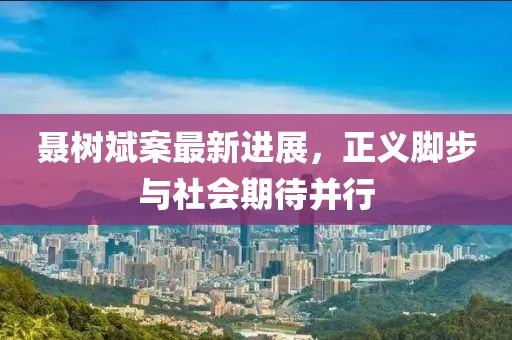 聶樹斌案最新進(jìn)展，正義腳步與社會期待并行
