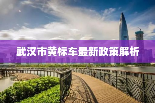 武漢市黃標車最新政策解析