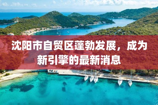 沈陽市自貿(mào)區(qū)蓬勃發(fā)展，成為新引擎的最新消息