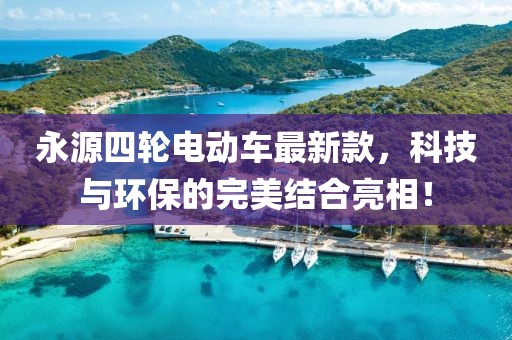 永源四輪電動車最新款，科技與環(huán)保的完美結(jié)合亮相！