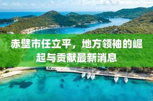赤壁市任立平，地方領(lǐng)袖的崛起與貢獻(xiàn)最新消息
