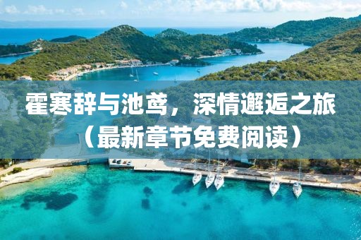 霍寒辭與池鳶，深情邂逅之旅（最新章節(jié)免費閱讀）