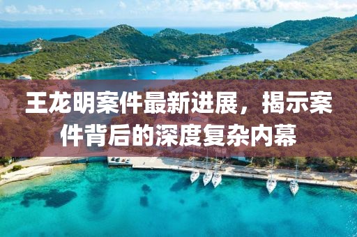 王龍明案件最新進(jìn)展，揭示案件背后的深度復(fù)雜內(nèi)幕