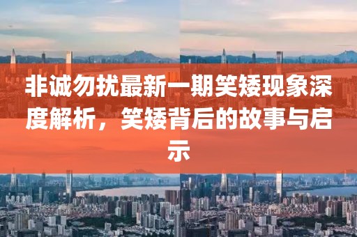 非誠(chéng)勿擾最新一期笑矮現(xiàn)象深度解析，笑矮背后的故事與啟示