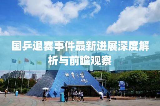 國乒退賽事件最新進展深度解析與前瞻觀察