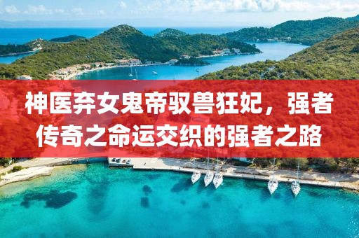 神醫(yī)棄女鬼帝馭獸狂妃，強者傳奇之命運交織的強者之路