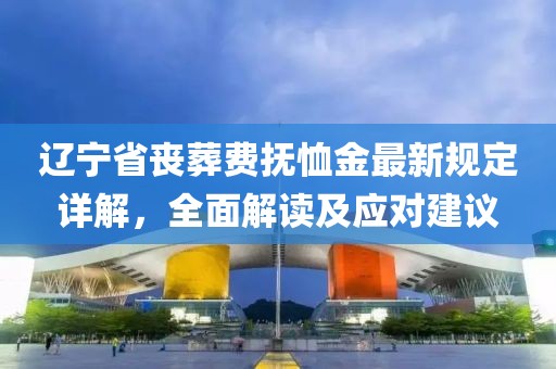 遼寧省喪葬費(fèi)撫恤金最新規(guī)定詳解，全面解讀及應(yīng)對(duì)建議