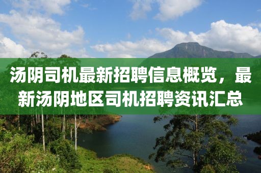 湯陰司機最新招聘信息概覽，最新湯陰地區(qū)司機招聘資訊匯總