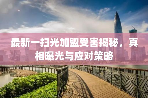 最新一掃光加盟受害揭秘，真相曝光與應(yīng)對(duì)策略