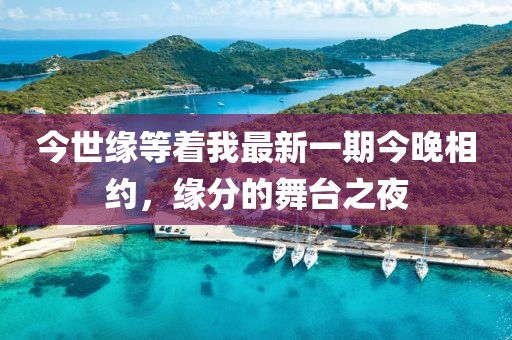 今世緣等著我最新一期今晚相約，緣分的舞臺之夜