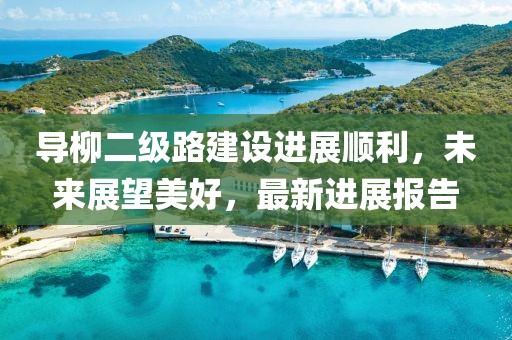 導(dǎo)柳二級路建設(shè)進(jìn)展順利，未來展望美好，最新進(jìn)展報(bào)告